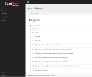 Desenvolvimento de Site desenvolvimento de site